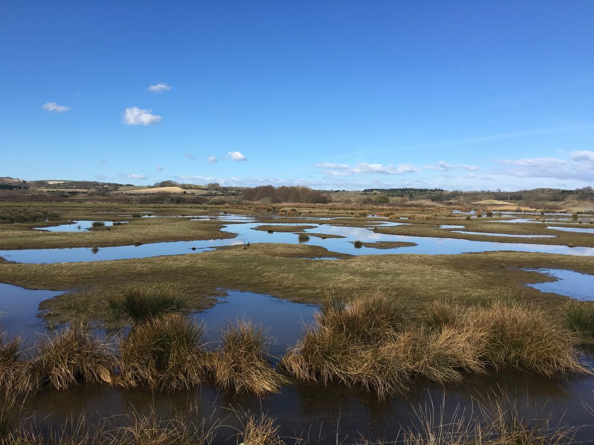 The Lodge On The Marsh Brading Exteriör bild