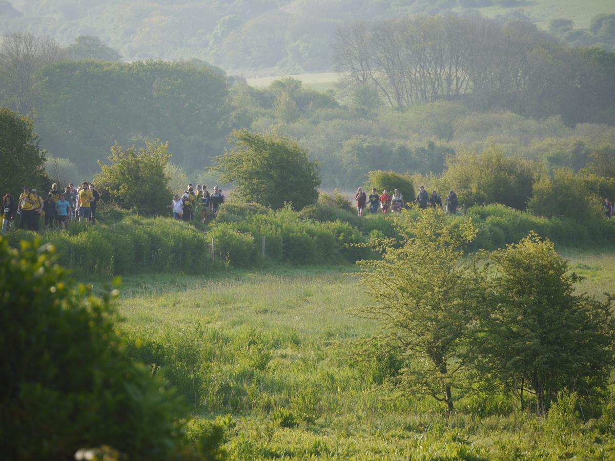 The Lodge On The Marsh Brading Exteriör bild